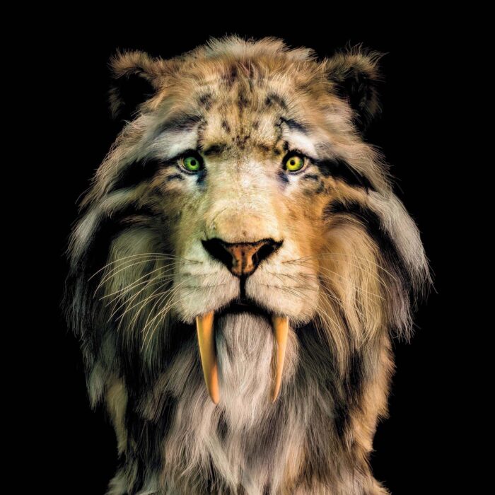 smilodon_neu_01_ps-2000_2022_02 smilodon_neu_01_ps-2000_2022_02